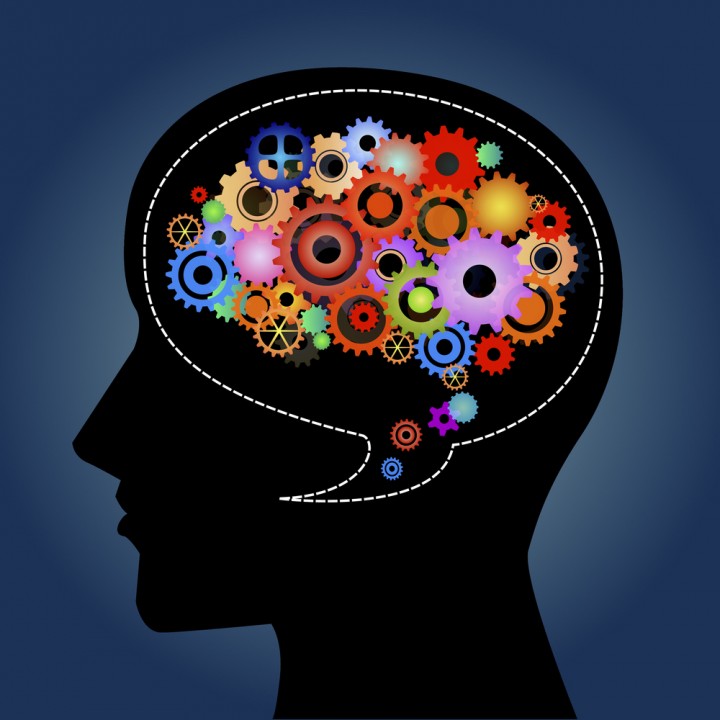 17. ΑΝΤΙΛΗΨΗ – ΕΠΙΚΟΙΝΩΝΙΑ ΚΙΝΔΥΝΟΥ